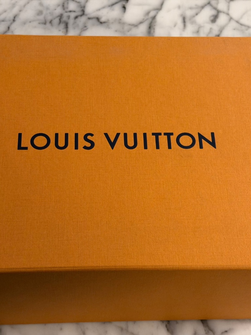 Louis Vuitton Trainer Sneakers - Picture 11 of 11